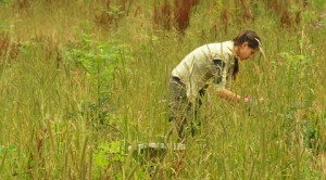 Person gardening in long grass