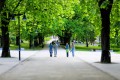 people walking along a tree lined road