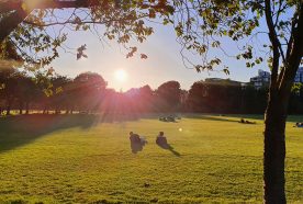 A low sun sets over blue skies and a green field surrounded by tall glass-fronted buildings, a couple are sitting on the grass.