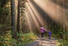 A woman and child walk along a forest path with shafts of sunlight shining through tall pine trees